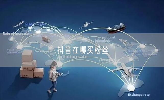 抖音在哪买粉丝