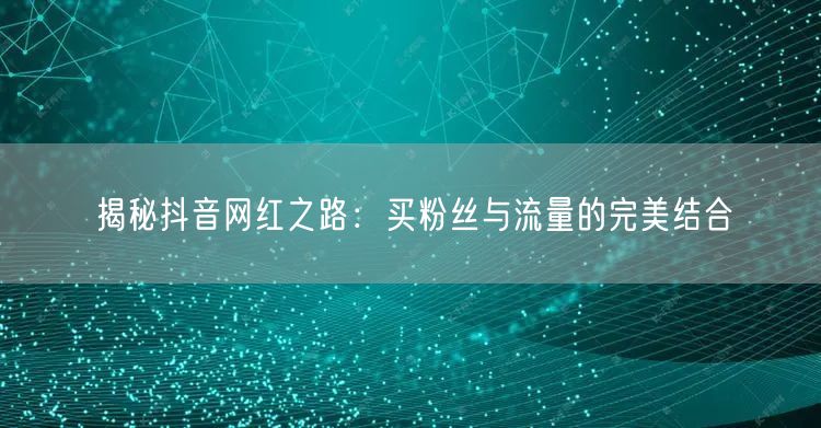 揭秘抖音网红之路：买粉丝与流量的完美结合