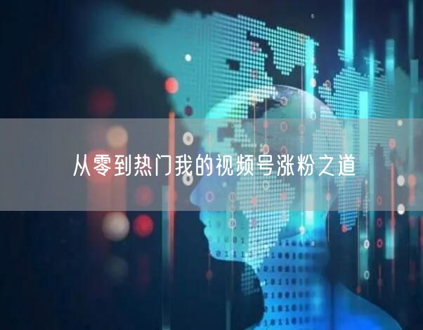 从零到热门我的视频号涨粉之道